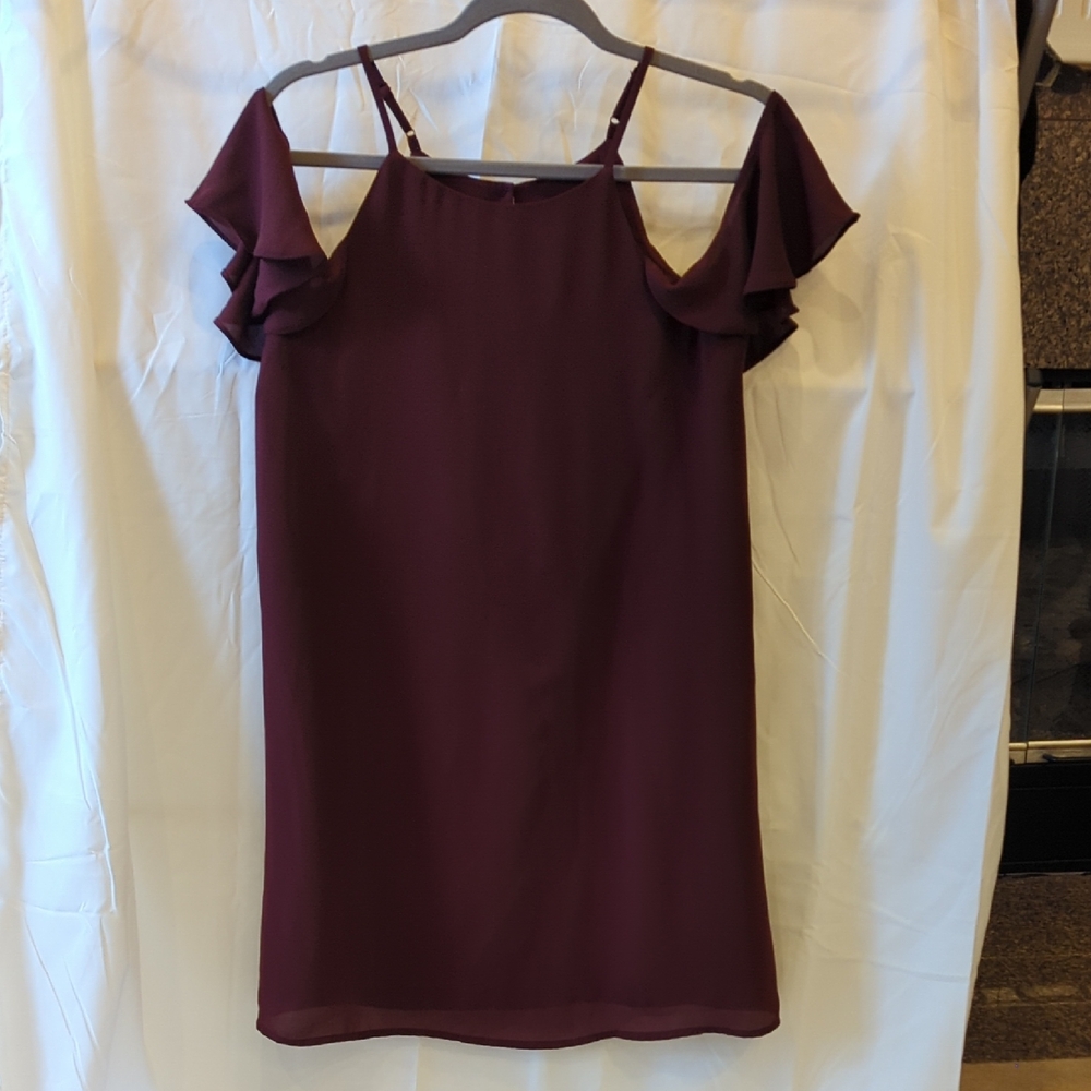Naked Zebra Burgundy Dress